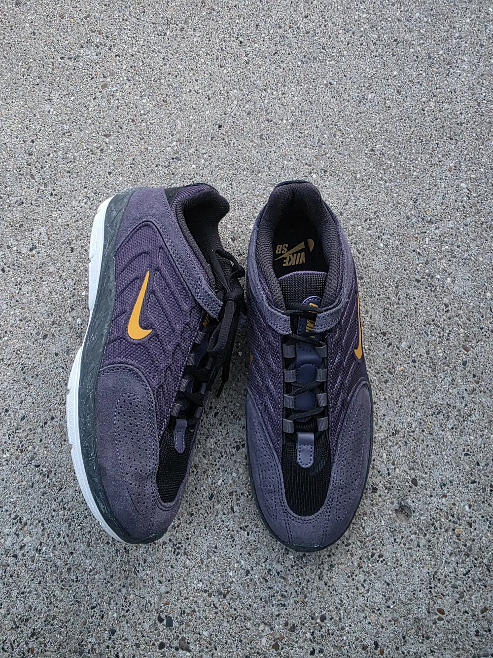 Nike Vertebrae SB 'Dark Raisin Sneaker Youth Boys 6
